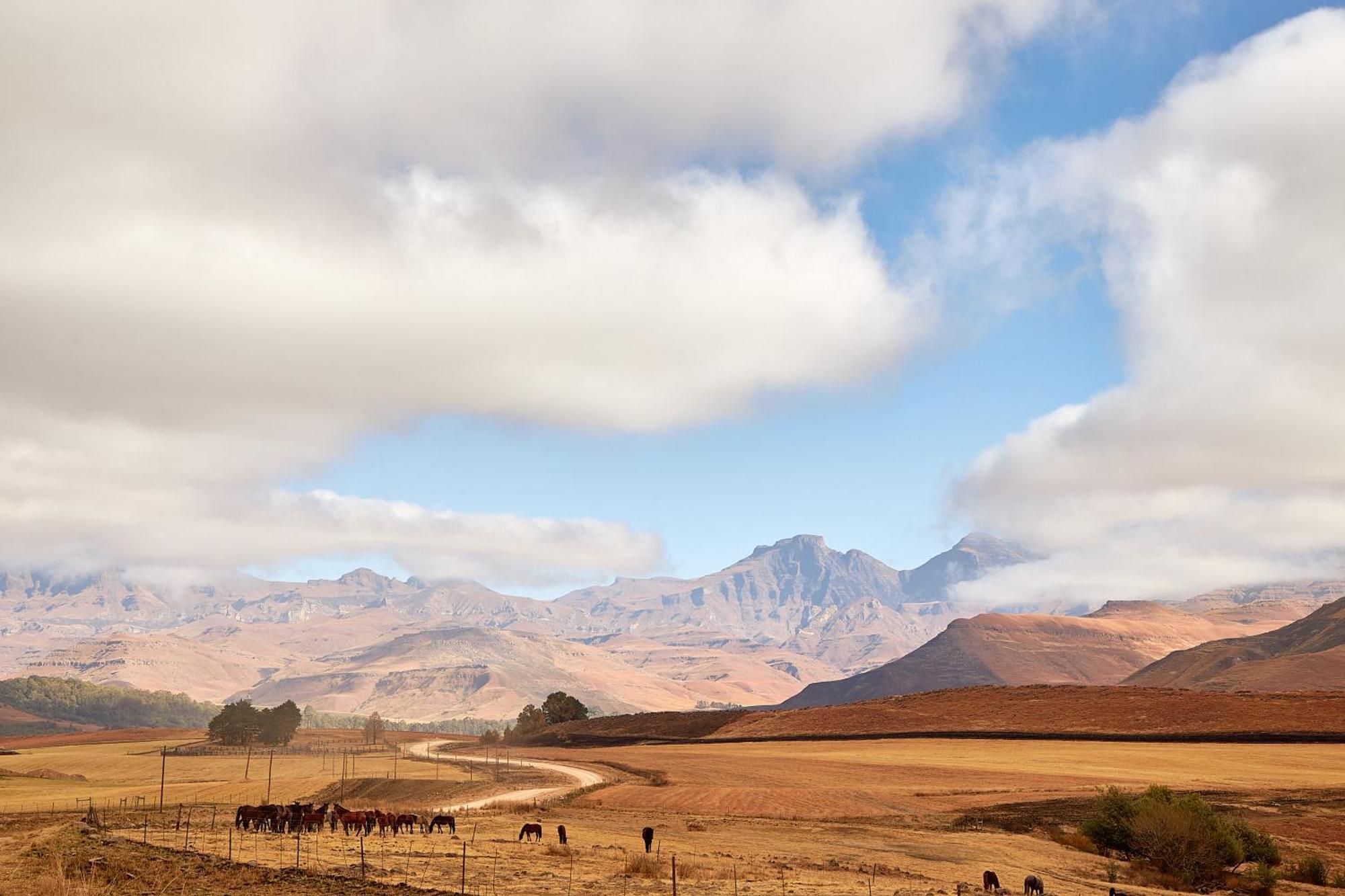 First Group Bushman'S Nek Hotel Drakensberg Garden Kültér fotó