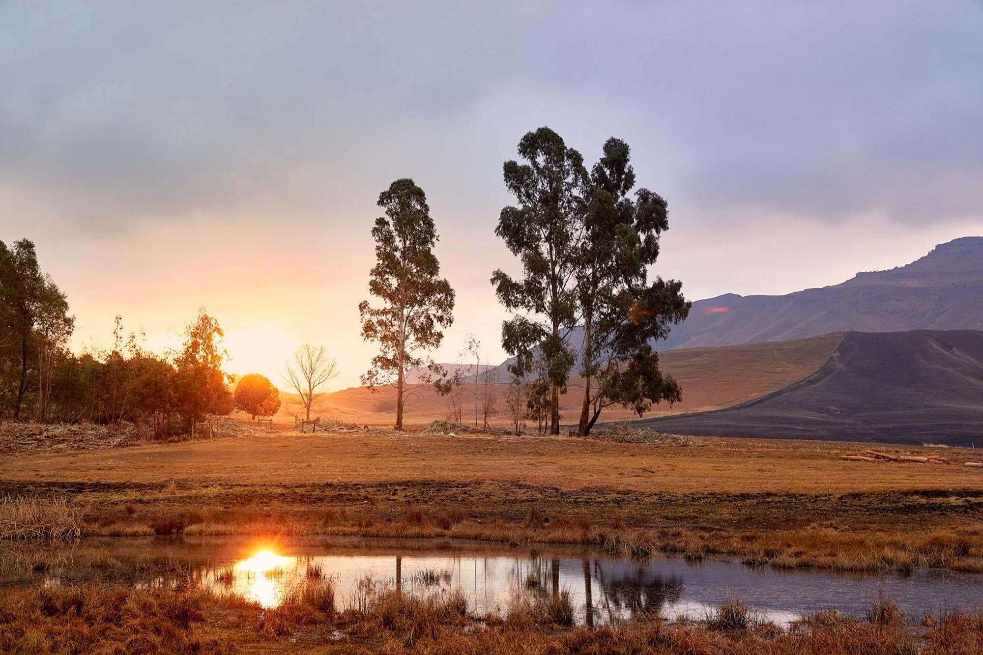 First Group Bushman'S Nek Hotel Drakensberg Garden Kültér fotó